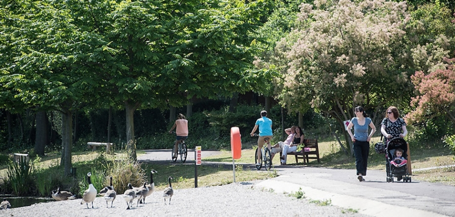 Bluewater Parkland4 944X450